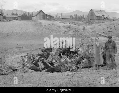 [Ohne Titel, möglicherweise verwandt mit: Der Familie Unruf, dem Baumstumpf und ihrem teilweise entwickelten Bauernhof. Boundary County, Idaho]. Stockfoto