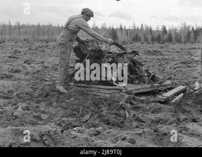 [Ohne Titel, möglicherweise im Zusammenhang mit: Ehemaliger Arbeiter der Holzmühle räumt acht Hektar großes Feld, nachdem Bulldozer Stumps gezogen hat. Boundary Stumps. Boundary County, Idaho]. Stockfoto