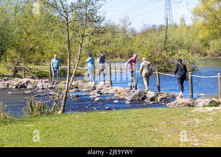 Stevensweert, Süd-Limburg, Niederlande, 16. April 2022. Naturschutzgebiet mit den Trittsteinen bei Brug Molenplas über dem Fluss Oude Maas, Menschen c Stockfoto