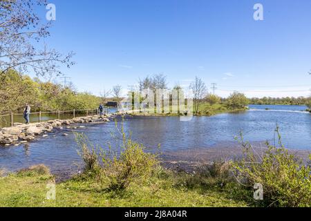 Stevensweert, Süd-Limburg, Niederlande, 16. April 2022. Niederländisches Naturschutzgebiet mit den Brug Molenplas Trittsteinen über dem Fluss Oude Maas, peopl Stockfoto