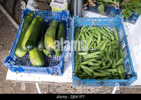 Frankreich, Bretagne, Dinan am 2021-06-23. Die Bürgerbewegung der Gemeinschaftsgärten schlägt den Bewohnern vor, sich selbst Obst und Gemüse zu produzieren Stockfoto
