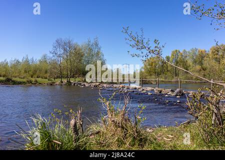 Landschaft im Naturschutzgebiet mit Fluss Oude Maas, Trittsteine bei Brug Molenplas, Holzpfosten und Seilzäune, grüne Bäume im Hintergrund, sonnige da Stockfoto