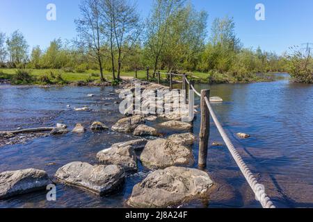 Oude Maas Fluss mit Sprungsteinen als Brücke bei Brug Molenplas, Holzpfosten und Seilzäune, grüne Bäume im Hintergrund, sonniger Tag in Ste Stockfoto