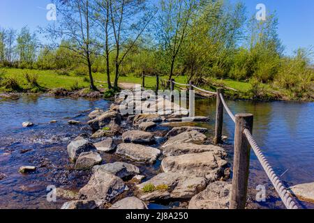 Naturschutzgebiet mit Trittsteinen bei Brug Molenplas im Fluss Oude Maas, Holzpfosten und Seilzäune, grüne Bäume im Hintergrund, sonniger Tag in S Stockfoto