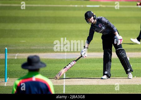 Hove, Großbritannien. 14.. Mai 2022. Danielle Collins (30 Thunder) während des Charlotte Edwards Cup-Spiels zwischen Southern Vipers und Thunder auf dem 1. Central County Ground in Hove, England. Liam Asman/SPP Credit: SPP Sport Press Photo. /Alamy Live News Stockfoto