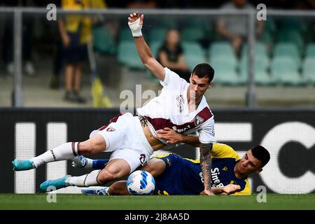 Verona, Italien. 14 Mai 2022. Pietro Pellegri vom FC Turin kämpft mit Bosko Sutalo vom FC Hellas Verona während des Fußballspiels der Serie A zwischen dem FC Hellas Verona und dem FC Turin um den Ball. Kredit: Nicolò Campo/Alamy Live Nachrichten Stockfoto