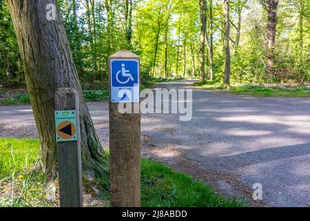 Bifurkation mit Wanderzeichen: Eine für Behinderte mit dem Wort Rolstoel für Rollstuhl und eine für Wanderer, Heidekamp Park, Bäume im Hintergro Stockfoto