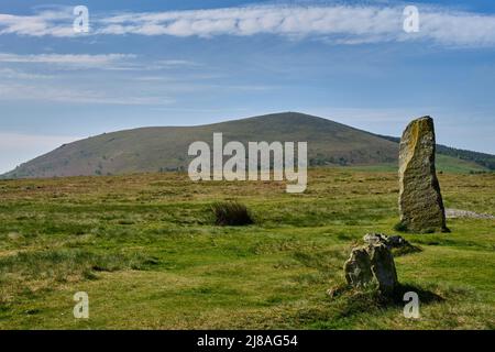 Mitchells Fold Stone Circle, in der Nähe von Priest Weston, Shropshire Stockfoto