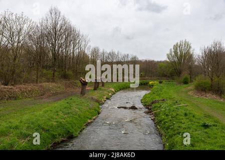 Der Fluss Geleenbeek schlängelt sich durch die grüne Landschaft, Nieuwstadt, Niederlande Stockfoto