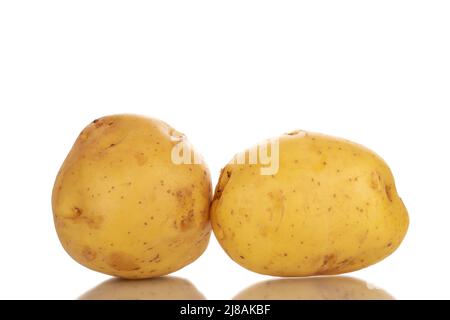 Zwei rohe Bio-Kartoffeln, Nahaufnahme, isoliert auf weißem Hintergrund. Stockfoto