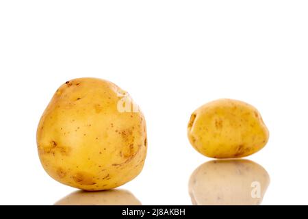 Zwei rohe Bio-Kartoffeln, Nahaufnahme, isoliert auf weißem Hintergrund. Stockfoto