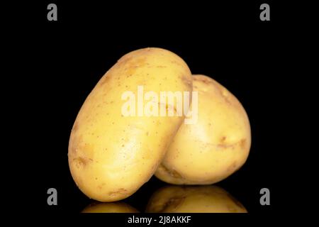 Zwei rohe Bio-Kartoffeln, Nahaufnahme, isoliert auf schwarzem Hintergrund. Stockfoto