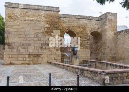 Cordoba Spanien - 09 13 2021: Ansicht der Statue von Ibn Hazam, Abū Muḥammad ʿAlī ibn Aḥmad ibn Saʿīd ibn Ḥazm, einem muslimischen Führer, im Zentrum von Cordoba Stockfoto