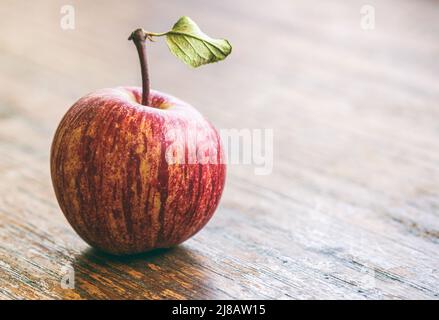 Auf einem alten Eichentisch sitzt ein frisch gepflücktes und sehr kleines Bio-Erbstück (Malus domestica). Stockfoto