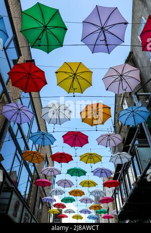 Farbenfrohe Sonnenschirmschirme vor der Zozimus Bar im Stadtzentrum von Dublin. Leuchtende Farben der Kunstinstallation vor blauem Himmel. Irland Stockfoto