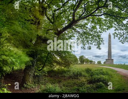 Der Wellington Memorila ist ein 175 Meter hoher dreieckiger Obelisk, der sich an einem Punkt der Blackdown Hills außerhalb der Stadt Wellington in Somerset befindet. Stockfoto