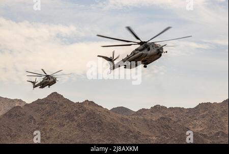 U.S. Marine Corps Sikorsky CH-53E Super-Hengste mit Marine Heavy Helicopter Squadron 464, Marine Aircraft Group 29, 2. Marine Aircraft Wing, bereiten sich auf die Landung während einer Vorwärts-Bewaffnung und Betankung Point (FARP) Verteidigungsausbildungsveranstaltung im Marine Corps Air Ground Combat Center Twentynine Palms, Kalifornien, 26. April 2022 vor. Ein FARP dient einer kritischen Logistikfunktion, die einen schnellen Zugang zu Waffen und Treibstoff gewährleistet. (USA Marine Corps Foto von Lance CPL. Joshua Sechser) Stockfoto
