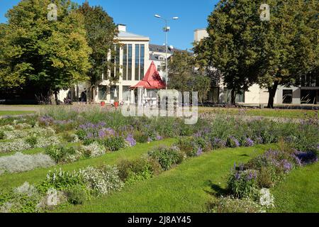 Livu Platz in Riga, Lettland im Sommer. Stockfoto