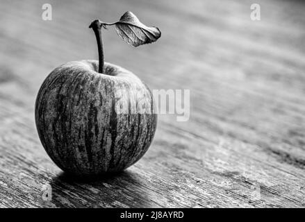 Auf einem alten Eichentisch sitzt ein frisch gepflücktes und sehr kleines Bio-Erbstück (Malus domestica). Stockfoto