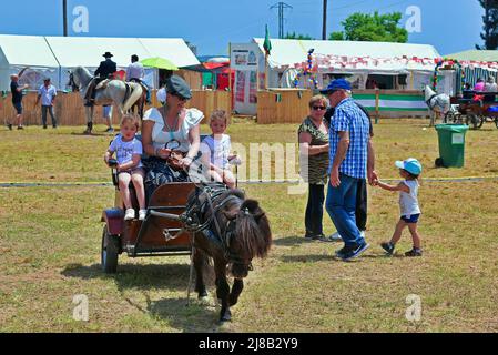 Eine Frau im Landkleid mit zwei Kindern fährt während der Wallfahrt mit einem Pony einen Wagen. Die Kulturvereinigung Extremadura in Vendrell feiert die Wallfahrt zu Ehren der Jungfrau von Guadalupe nach zwei Jahren, ohne dies aufgrund des Zustands der Pandemie tun zu können. Die Wallfahrt ist ein katholisches Fest, das aus einer Reise oder Wallfahrt zu Fuß oder in geschmückten Kutschen mit Pferden oder Eseln besteht, die zum Heiligtum oder zur Einsiedelei einer Jungfrau oder eines schutzpatrons des Ortes geht, normalerweise in einem Land oder Berg gelegen. Stockfoto