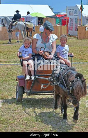 Eine Frau im Landkleid mit zwei Kindern fährt während der Wallfahrt mit einem Pony einen Wagen. Die Kulturvereinigung Extremadura in Vendrell feiert die Wallfahrt zu Ehren der Jungfrau von Guadalupe nach zwei Jahren, ohne dies aufgrund des Zustands der Pandemie tun zu können. Die Wallfahrt ist ein katholisches Fest, das aus einer Reise oder Wallfahrt zu Fuß oder in geschmückten Kutschen mit Pferden oder Eseln besteht, die zum Heiligtum oder zur Einsiedelei einer Jungfrau oder eines schutzpatrons des Ortes geht, normalerweise in einem Land oder Berg gelegen. (Foto von Ramon Costa/SOPA Images Stockfoto