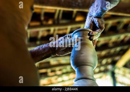 Die Kunst der Keramik Kreation in Maragogipino, Aratuipe, Bahia, Brasilien. Größtes Töpferzentrum in Latein Stockfoto