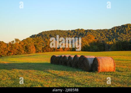 Heuballen in Folge auf einer Farm im ländlichen Ohio im Herbst bei Sonnenuntergang. Stockfoto