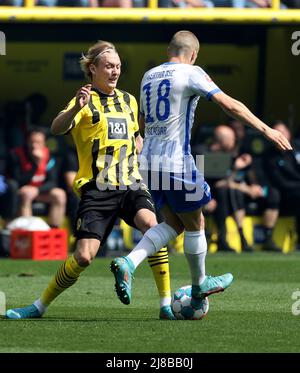 Dortmund, Deutschland. 14.. Mai 2022. Der Dortmunder Julian Brandt (L) steht mit Santiago Ascacibar von Herta BSC während des Bundesliga-Fußballspiels der 1. Liga zwischen Borussia Dortmund und Hertha BSC am 14. Mai 2022 in Dortmund auf dem Spiel. Quelle: Joachim Bywaletz/Xinhua/Alamy Live News Stockfoto