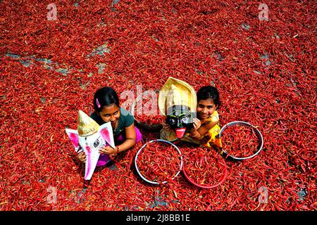 Hooghly, Indien. 14.. Mai 2022. Kleine Mädchen sahen, wie sie mit ihren Masken in einem roten Chilischote-Feld am Ufer des Ganga in der Nähe des Bezirks Hooghly in Westbengalen spielten. Jeden Tag verdienen diese Frauen nach 8 Stunden am Tag ca. $2 US-Dollar (INR 150), was eine der Haupteinnahmequellen für ihre Familien vor dem Monsun (Regenzeit) ist. (Foto: Avishek das/SOPA Images/Sipa USA) Quelle: SIPA USA/Alamy Live News Stockfoto