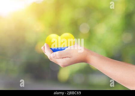 Kind Hand hält Herz in der Farbe Flagge Nation der Ukraine über grüne Natur Hintergrund. Konzept der Beendigung des Krieges in der Ukraine. Stockfoto