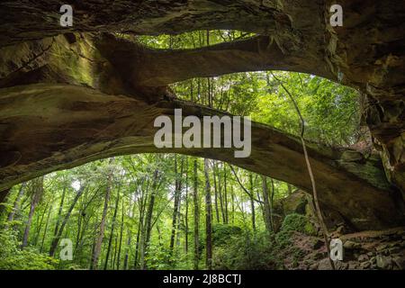 148 Fuß lange und 60 Fuß hohe Sandsteinbrücke, die größte natürliche Brücke östlich der Rockies, im Natural Bridge Park in Winston County, AL. (USA) Stockfoto