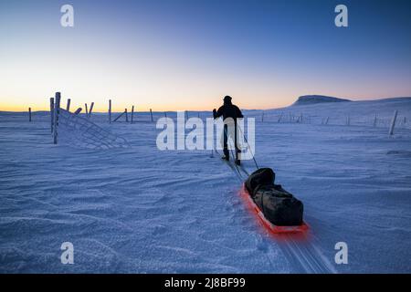 Skitouren bis in den Sonnenuntergang, Enontekiö, Lappland, Finnland Stockfoto