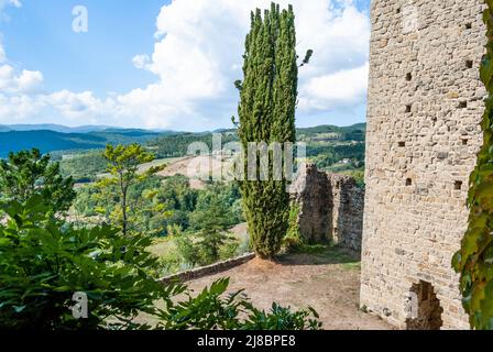 Toskanische Landschaft mit Zypressen und Hügeln an einem sonnigen Tag, von der Burg von Romena, Gemeinde Poppi, Provinz Arezzo, Toskana, Italien Stockfoto
