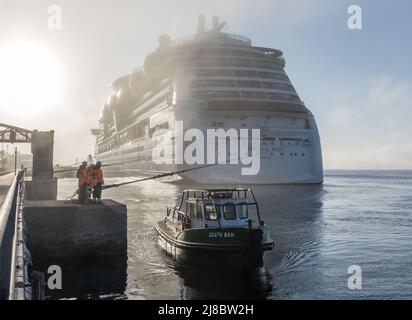 Cobh, Cork, Irland. 15.. Mai 2022. Festleernde Männer binden den Kreuzfahrtdampfer Jewel of the Seas an, nachdem sie am Tiefwasserkai in Cobh, Co. Cork, Irland, anlegte. -Credit; David Creedon / Alamy Live News Stockfoto