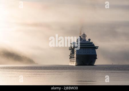 Cobh, Cork, Irland. 15.. Mai 2022. Der Kreuzfahrtdampfer Jewel of the Seas tritt aus dem Küstennebel auf, als sie sich Cobh, Co. Cork, Irland, nähert. - Credit; David Creedon / Alamy Live News Stockfoto