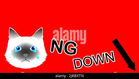 Ein Banner mit einer Birmankatze: Roter Hintergrund Stockfoto
