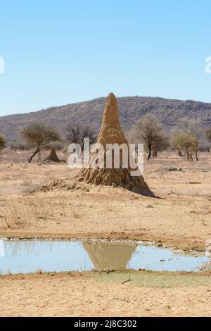 Großer Termitenhügel, Namibia, Südwestafrika Stockfoto