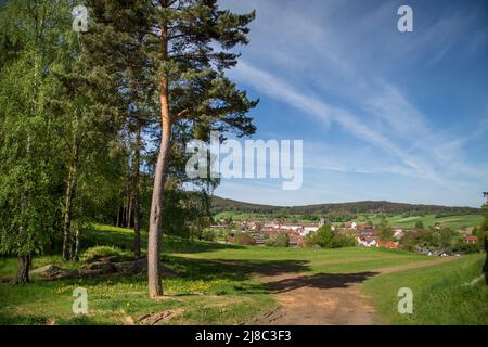 Erlebnisweg Heinrichs, ein Wanderweg im Waldgebiet - Blick nach Heinrichs Stockfoto