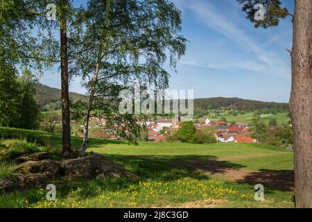 Erlebnisweg Heinrichs, ein Wanderweg im Waldgebiet - Blick nach Heinrichs Stockfoto
