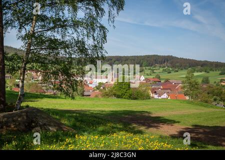Erlebnisweg Heinrichs, ein Wanderweg im Waldgebiet - Blick nach Heinrichs Stockfoto