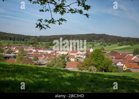 Erlebnisweg Heinrichs, ein Wanderweg im Waldgebiet - Blick nach Heinrichs Stockfoto