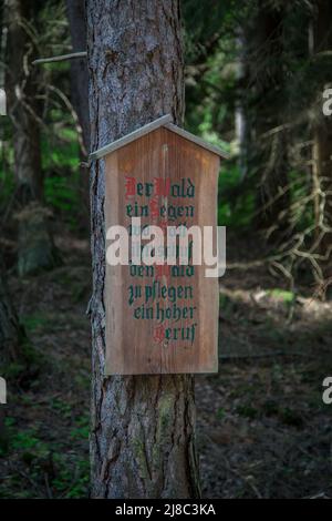 Erlebnisweg Heinrichs, ein Wanderweg im Waldgebiet - Holzschild Stockfoto