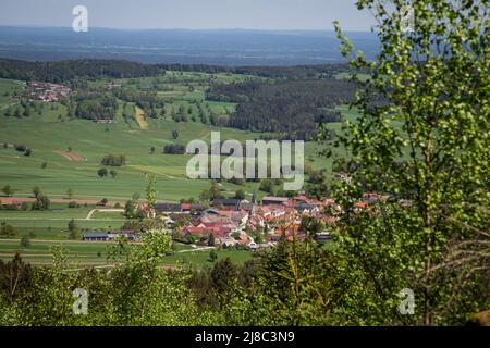 Erlebnisweg Heinrichs, ein Wanderweg im Waldgebiet - Blick nach Heinrichs Stockfoto