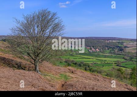 Castleton aus Castleton Rigg über Danby Dale in den North York Moors Stockfoto