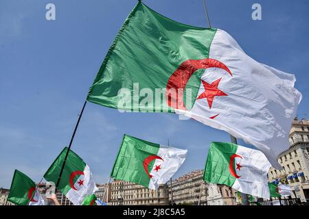 Demonstranten halten während der Demonstration algerische Flaggen fest. Hunderte Mitglieder der algerischen Diaspora marschieren in Marseille gegen die Militärdiktatur in ihrem Land. Stockfoto