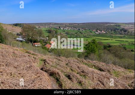 Castleton aus Castleton Rigg über Danby Dale in den North York Moors Stockfoto