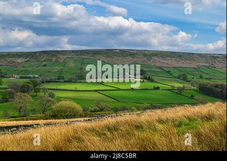 Blick über Danby Dale in Richtung Danby Rigg bei Castleton in North Yorkshire Stockfoto