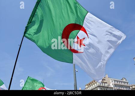 Ein Protestler hält während der Demonstration eine algerische Flagge. Hunderte Mitglieder der algerischen Diaspora marschieren in Marseille gegen die Militärdiktatur in ihrem Land. (Foto von Gerard Bottino / SOPA Images/Sipa USA) Stockfoto