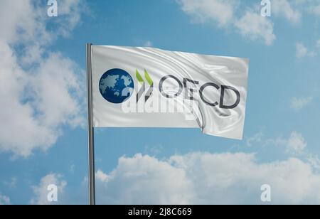 Die OECD-Organisation für wirtschaftliche Zusammenarbeit und Entwicklung winkt im Wind. Abbildung Himmel Hintergrund 3D Stockfoto