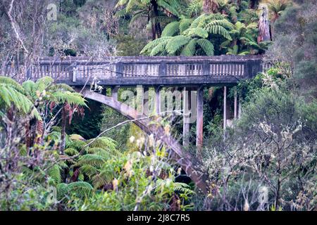 „Bridge to Somewhere“, in der Nähe von Whangamomona, Taranaki, Nordinsel, Neuseeland. Dies ist in der Nähe einer ähnlichen Brücke, die „Bridge to Nowhere“ genannt wird. Stockfoto